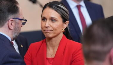 Tulsi Gabbard Becomes Fourth Trump Cabinet Member To Go—And They've All Been Women