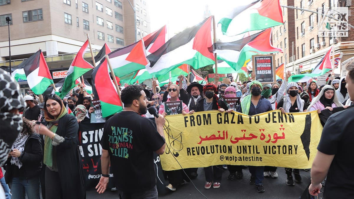 Demonstrators carrying a 