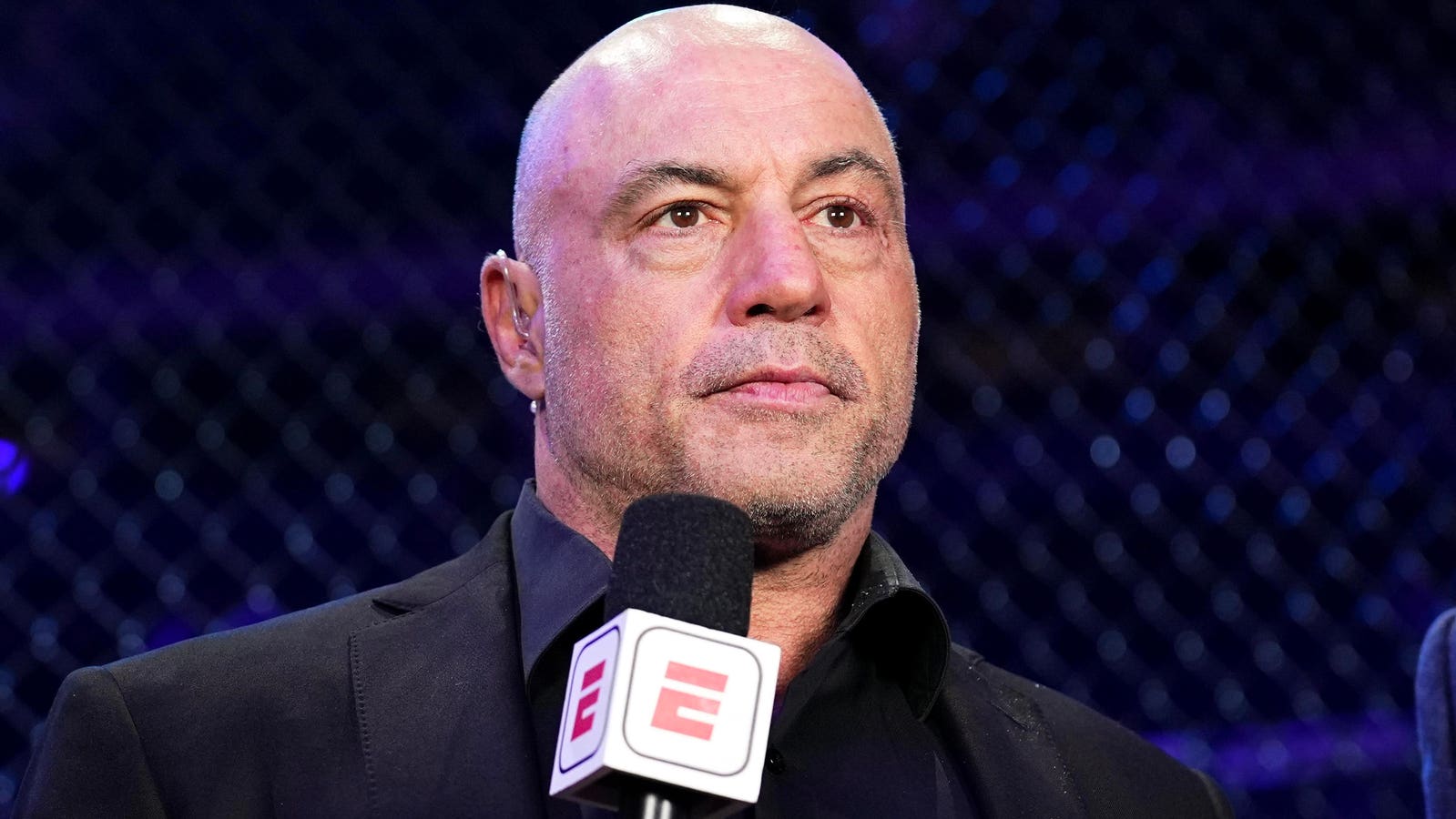 Rogan Criticizes White House UFC Fight Over Outdoor Arena