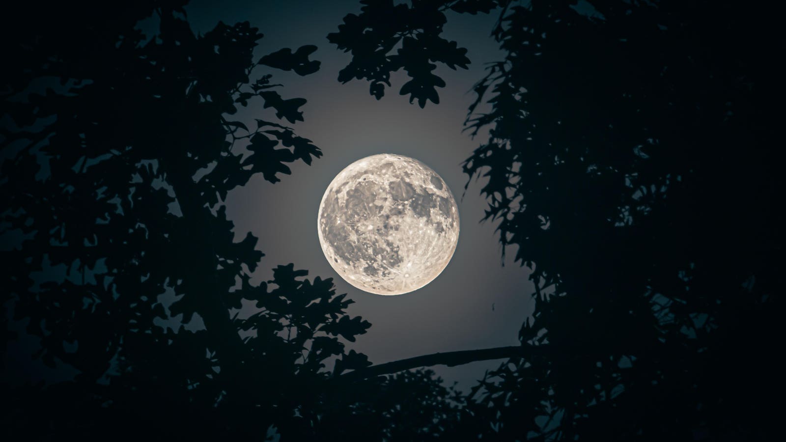 When To See A Rare ‘Blue Moon’ Rise At Dusk This Weekend