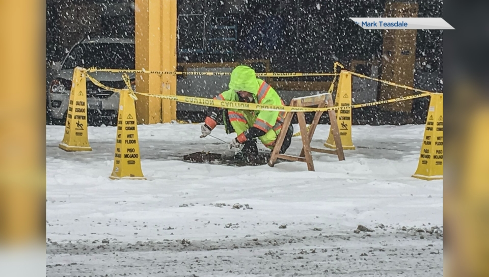 Click to play video: 'Dog electrocuted after walking over manhole cover'