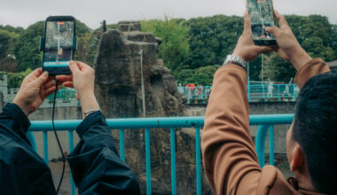 2 Americans Detained in Japan After Entering Punch the Monkey’s Zoo Enclosure