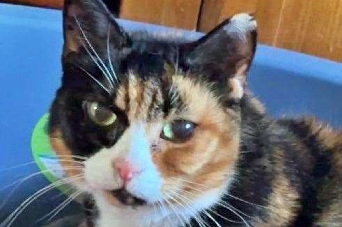 Gizzy pictured the day before she disappeared