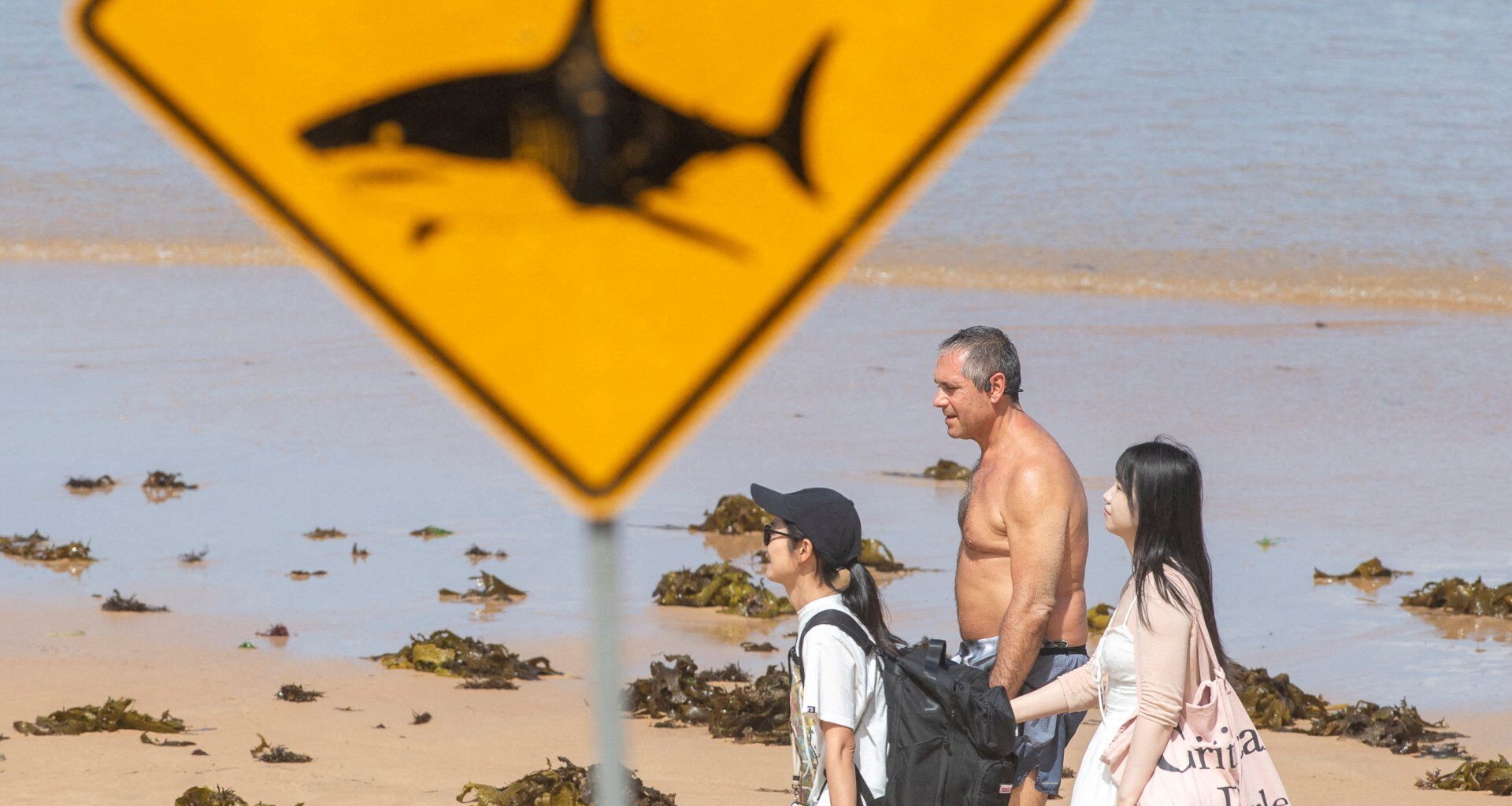 Man killed in great white shark attack in western Australia | Wildlife News