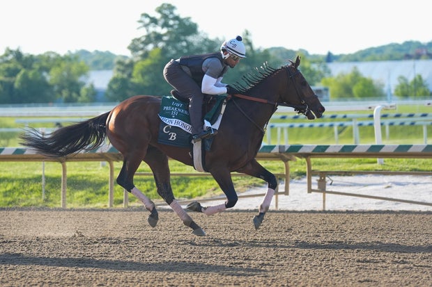 Iron Honor trains for the Preakness Stakes during morning workouts at Laurel Park, May 13, 2026, in Laurel, Maryland.