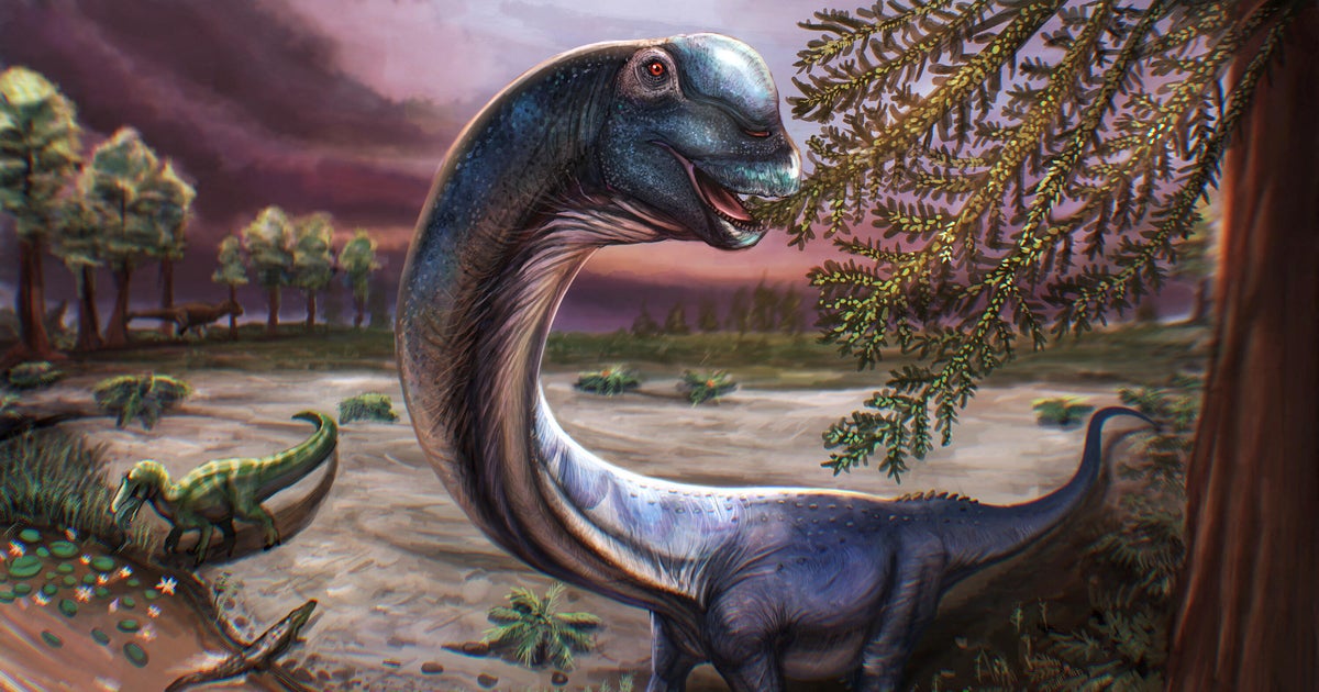 Meet Nagatitan, Southeast Asia's largest dinosaur