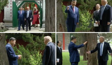 ‘For Example, Putin’: How Xi Used a Private Garden Walk to Charm Trump
