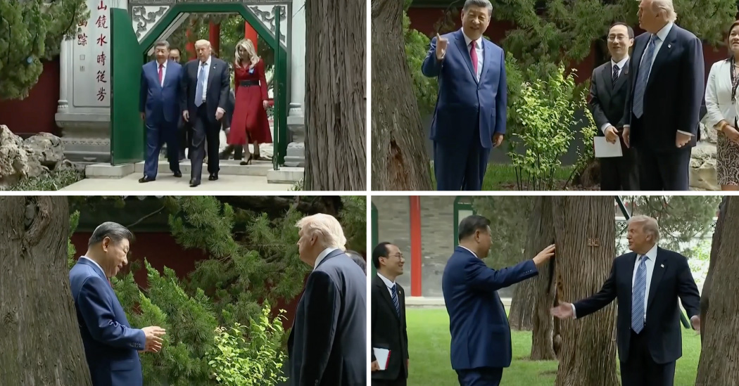 ‘For Example, Putin’: How Xi Used a Private Garden Walk to Charm Trump