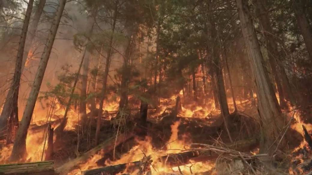 Click to play video: 'Wildfire forecast predicts another busy fire season in B.C.'