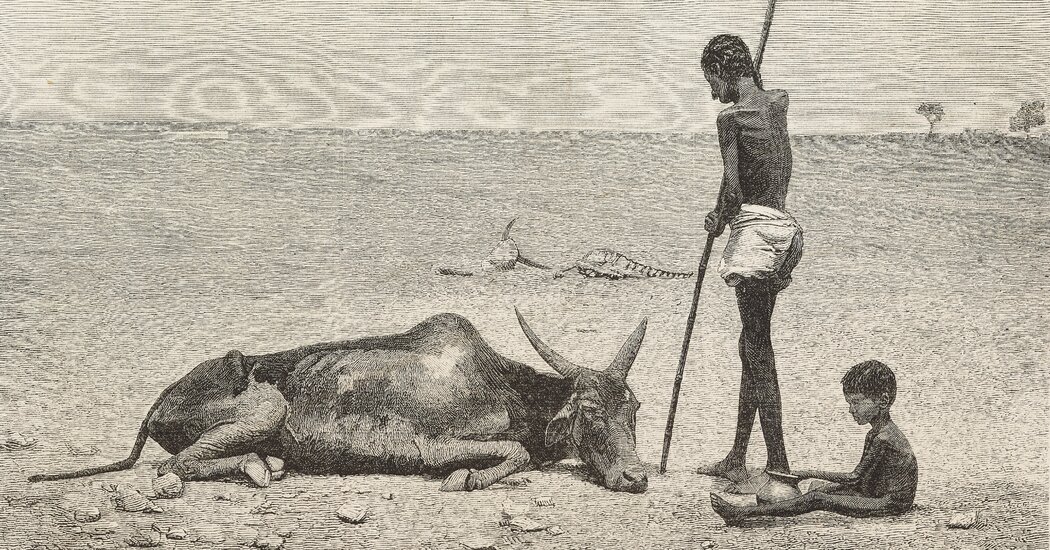 A Powerful El Niño Is Forming. If History Is a Guide, It Could Hit Hard.