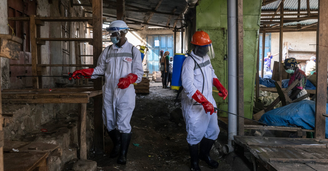 In City at Center of Ebola Crisis, ‘the Virus Is Far Ahead of Us’
