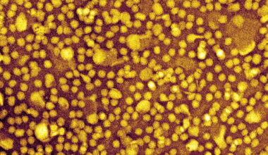 One-and-Done Heart Disease Prevention? Scientists Show It May Be Possible.