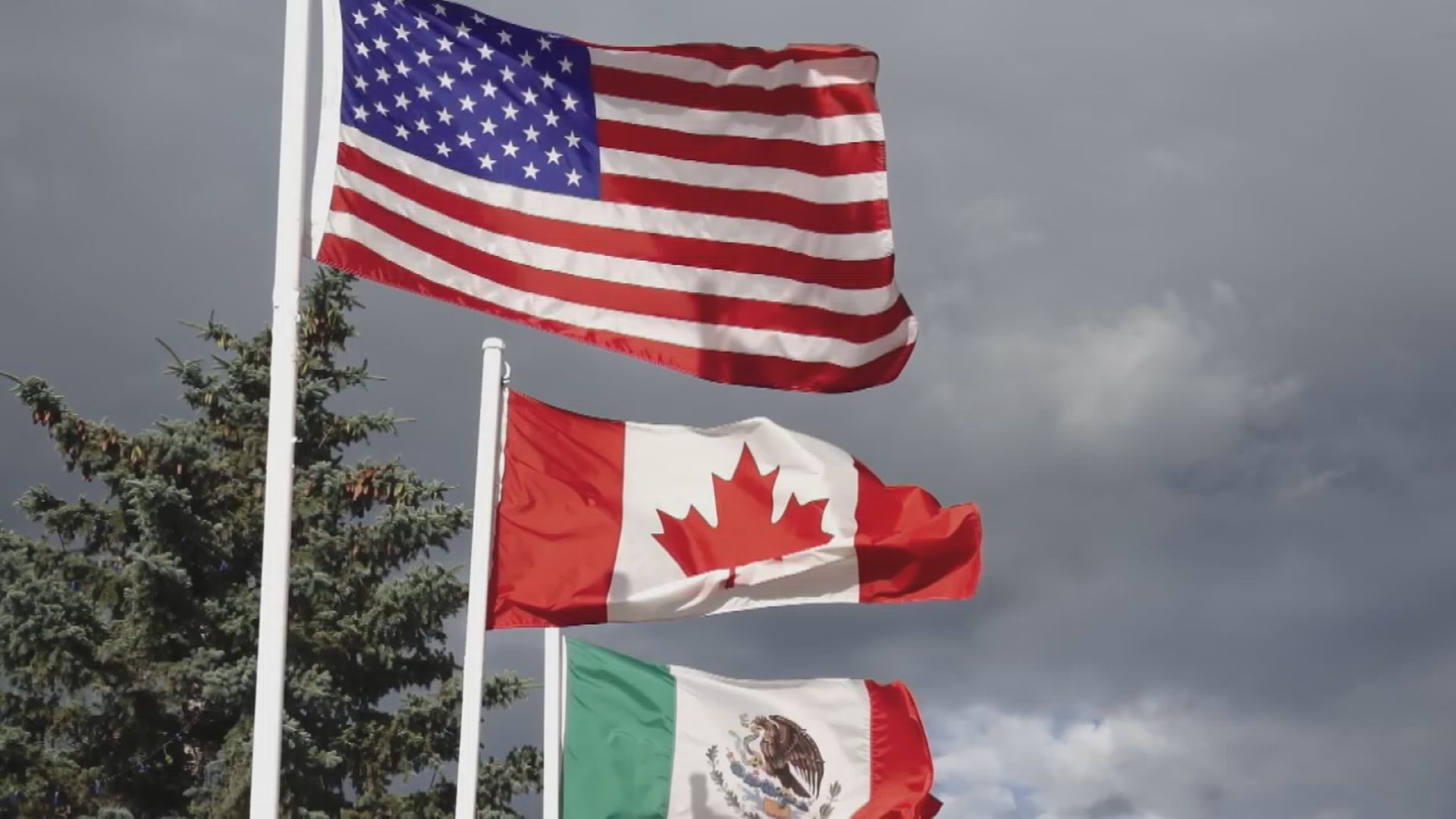 Click to play video: 'Carney says U.S. won’t dictate terms of CUSMA trade talks'