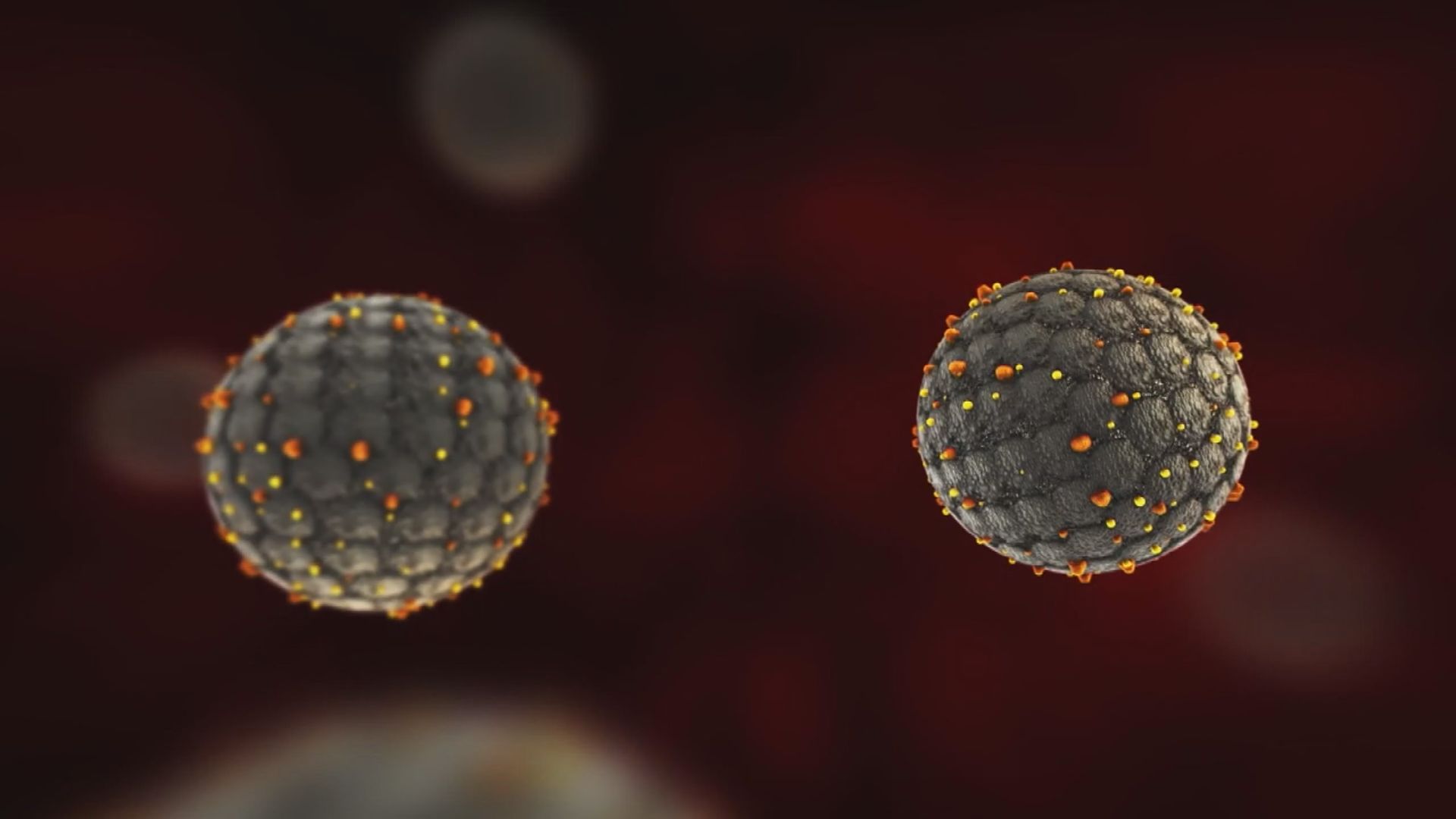 Click to play video: 'Hantavirus: More Canadians in isolation after cruise exposure'