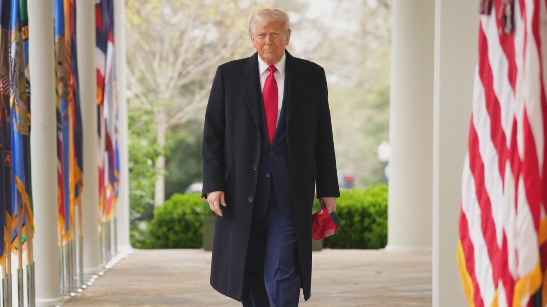 Click to play video: 'How Trump is getting revenge on opponents in Republican party'