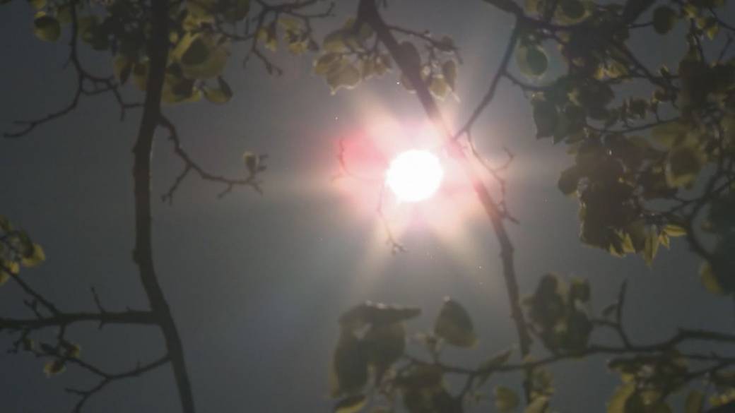 Click to play video: 'Parts of southern Ontario under first heat warning of season'