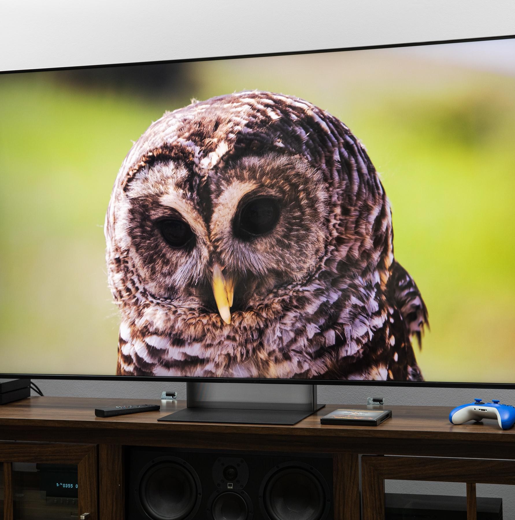 The Sony Bravia 7 II RGB LED TV on a dark wooden credenza displaying an image of an owl.