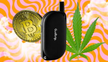 I went looking for the AI weed vape that gives you Bitcoin for smoking