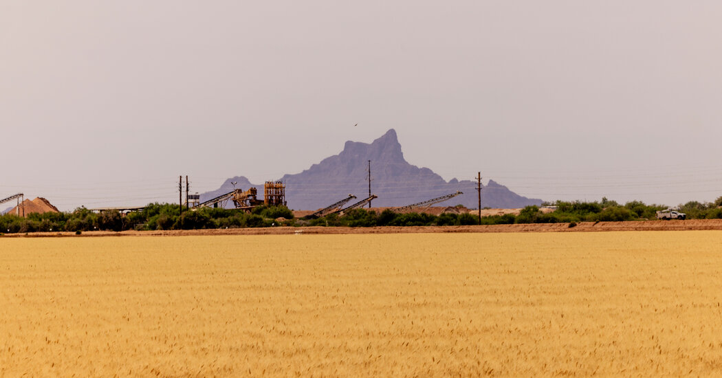 Two of America’s Thorniest Political Issues Are Dividing an Arizona Town