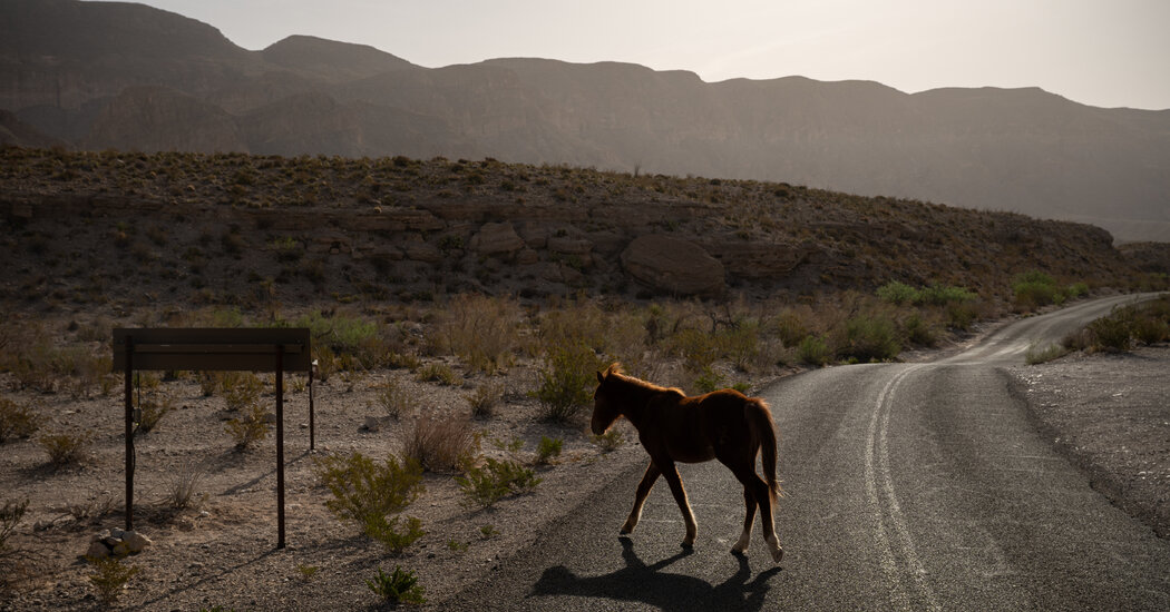 Trump Lifts Restrictions on Off-Road Vehicles on Public Lands