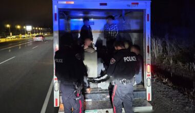 12 teens found in U-Haul cargo area during Ottawa police stunt driving crackdown - CTV News