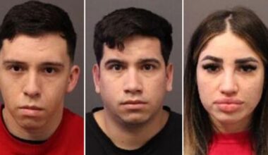 York crime: Chileans arrested as part of organized crime