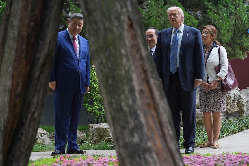 US President Donald Trump walks with China's President Xi Jinping as they admire the trunk of a centuries old tree.