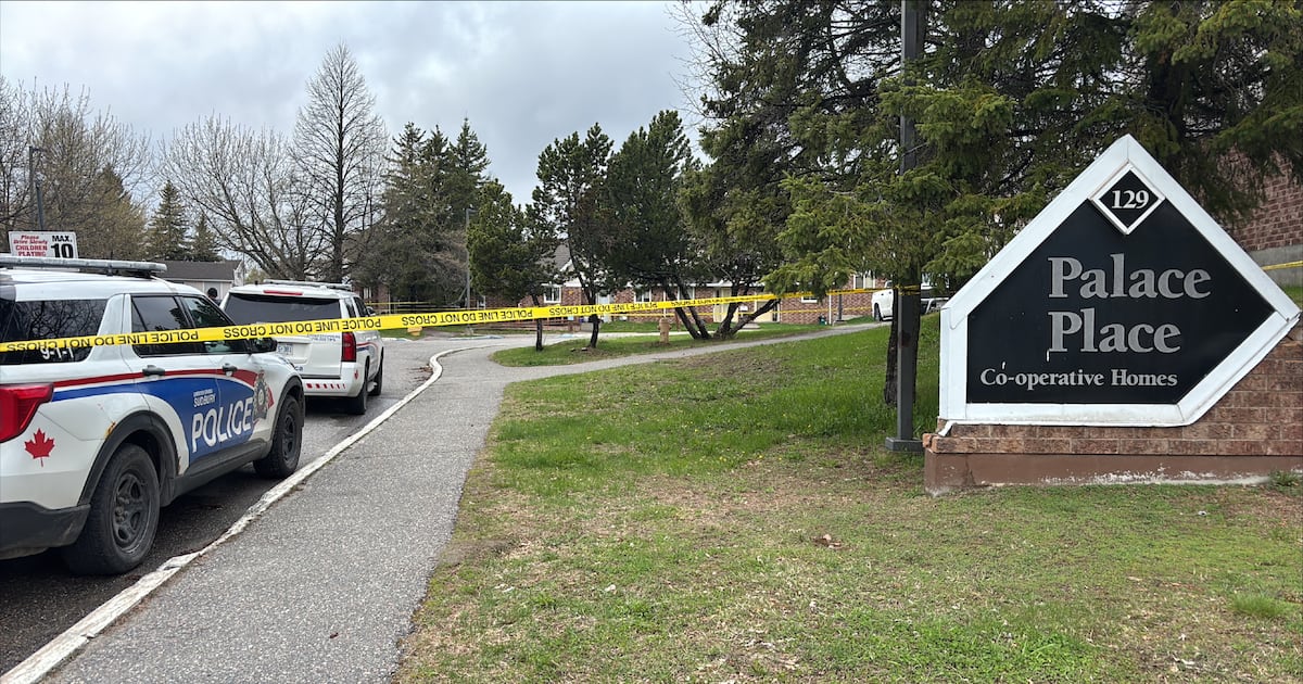 Young girl, age 6, dies after being hit by vehicle in Sudbury - CTV News