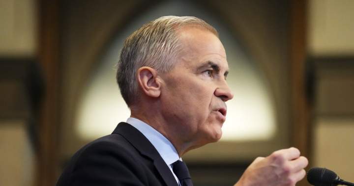 Carney says selling public assets like airports could fund infrastructure - National