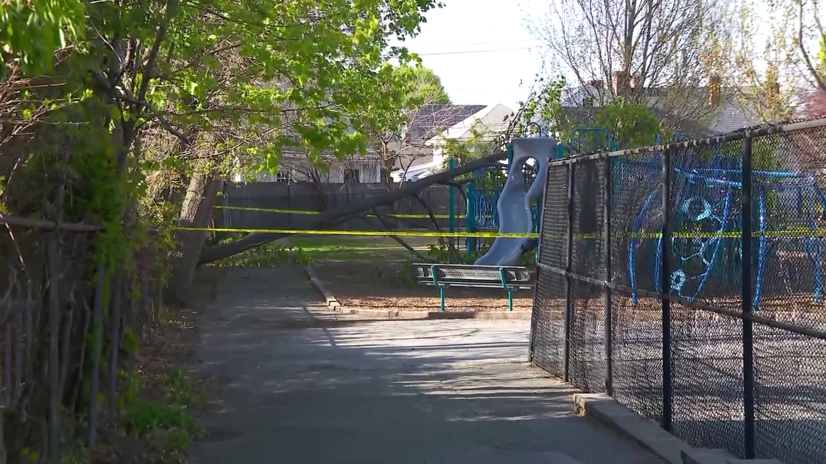 Elementary student dies after tree topples onto Melrose school playground