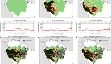 Deforestation-induced drying lowers Amazon climate threshold