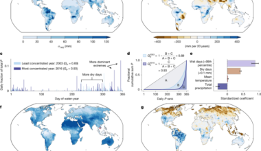More concentrated precipitation decreases terrestrial water storage