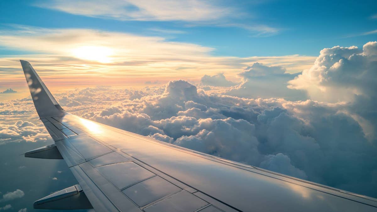 Another airline files for bankruptcy protection and cancels all flights