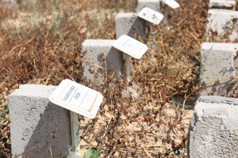 Graves without names marked with numbers
