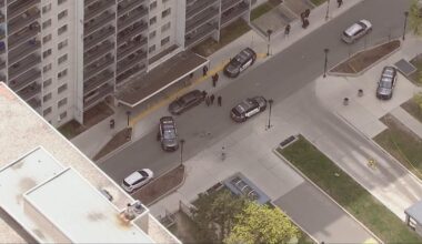 Stabbing suspect dead after being involved in accident while fleeing scene: Toronto police