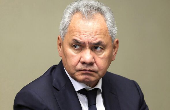 Former Russian defence minister Sergei Shoigu