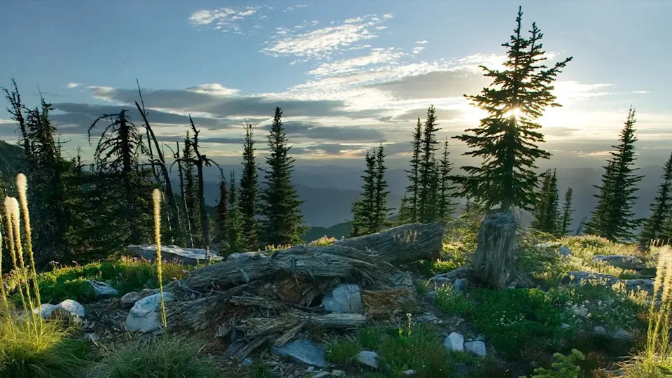 national park