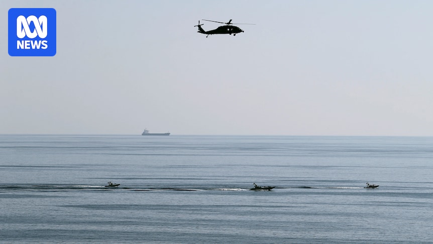 Iran's mosquito fleet a 'weapon of mass disruption' in Strait of Hormuz