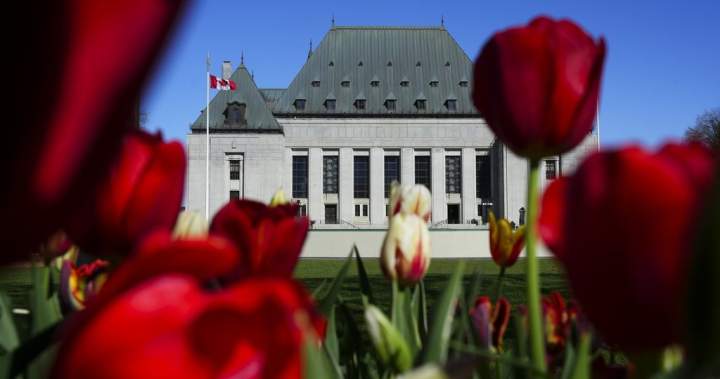 Supreme Court of Canada to decide whether to hear B.C. appeal in mineral claims case