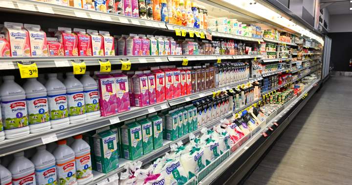What’s the deal with 6% fat milk, newly on the market in Ontario?