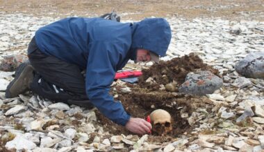 Four sailors from doomed Franklin expedition identified through DNA - CTV News