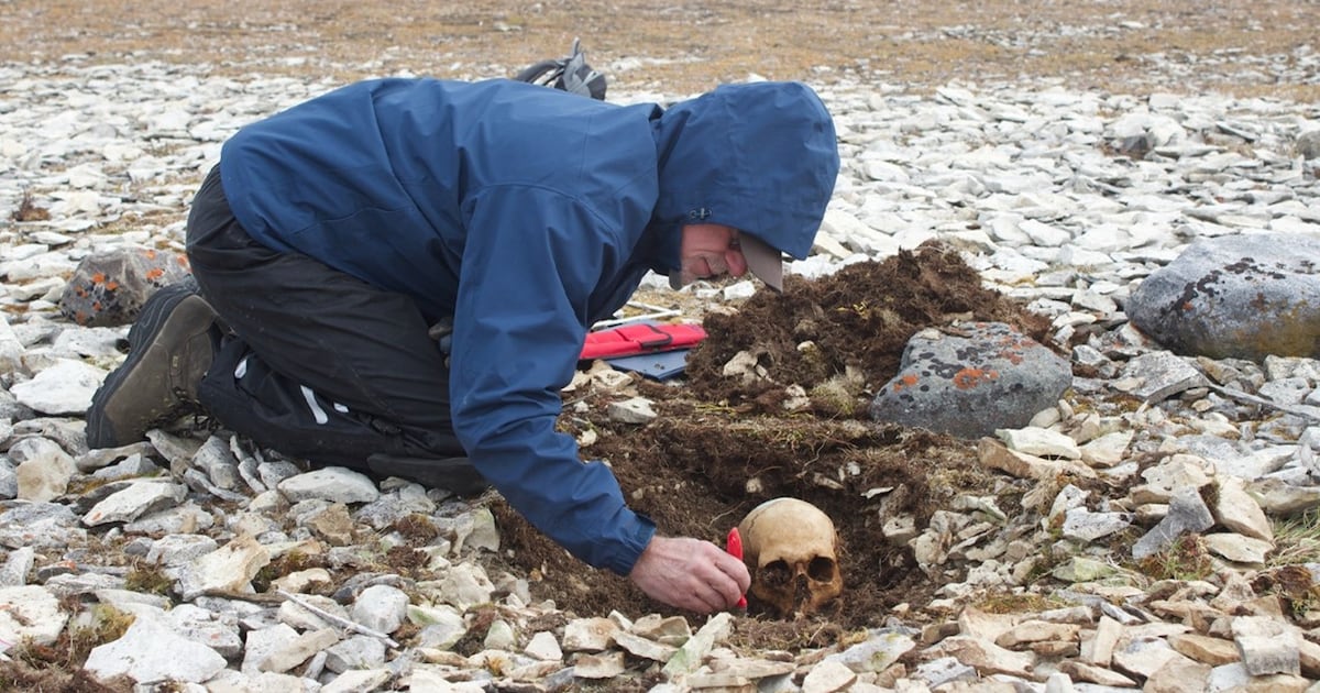 Four sailors from doomed Franklin expedition identified through DNA - CTV News