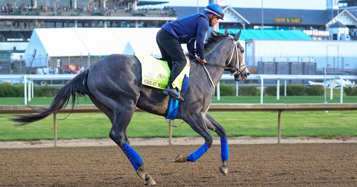 Great White is fine after throwing his jockey and getting scratched late from the Kentucky Derby | National News