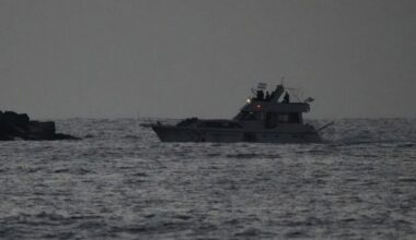 Israel begins deporting hundreds of international flotilla activists | National News