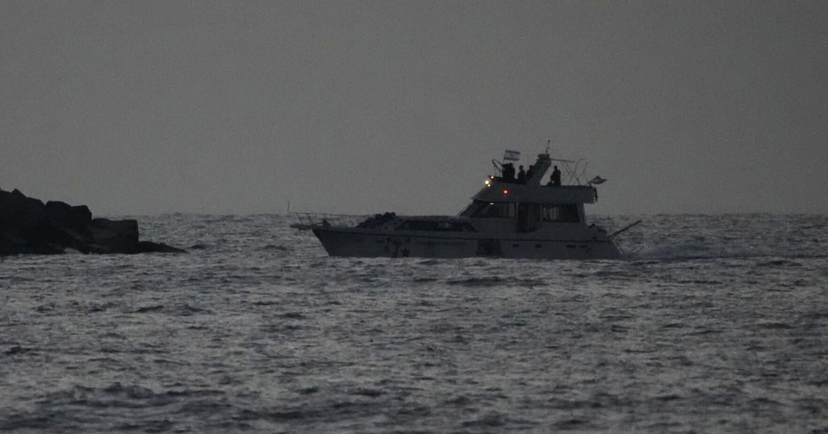 Israel begins deporting hundreds of international flotilla activists | National News