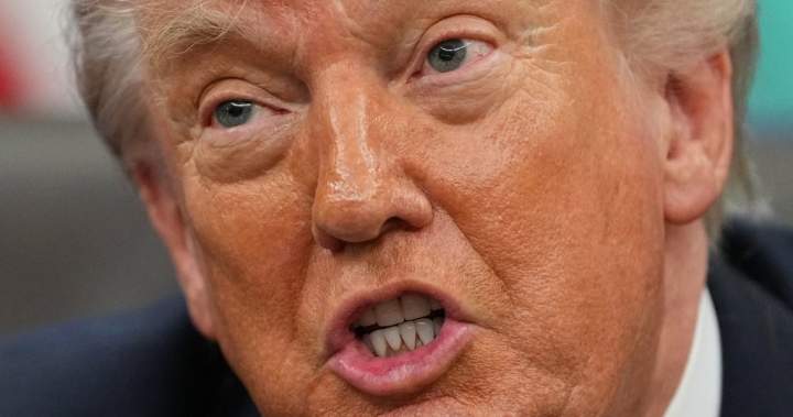 Trump says he’ll raise EU auto tariffs to 25% next week over trade dispute - National