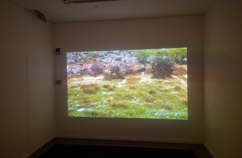 Romanian-born Dorian Gottlieb’s video work ‘If You Loved Me and If’ offers a nostalgic trip back to the landscapes Anna Ticho roamed near Jerusalem.