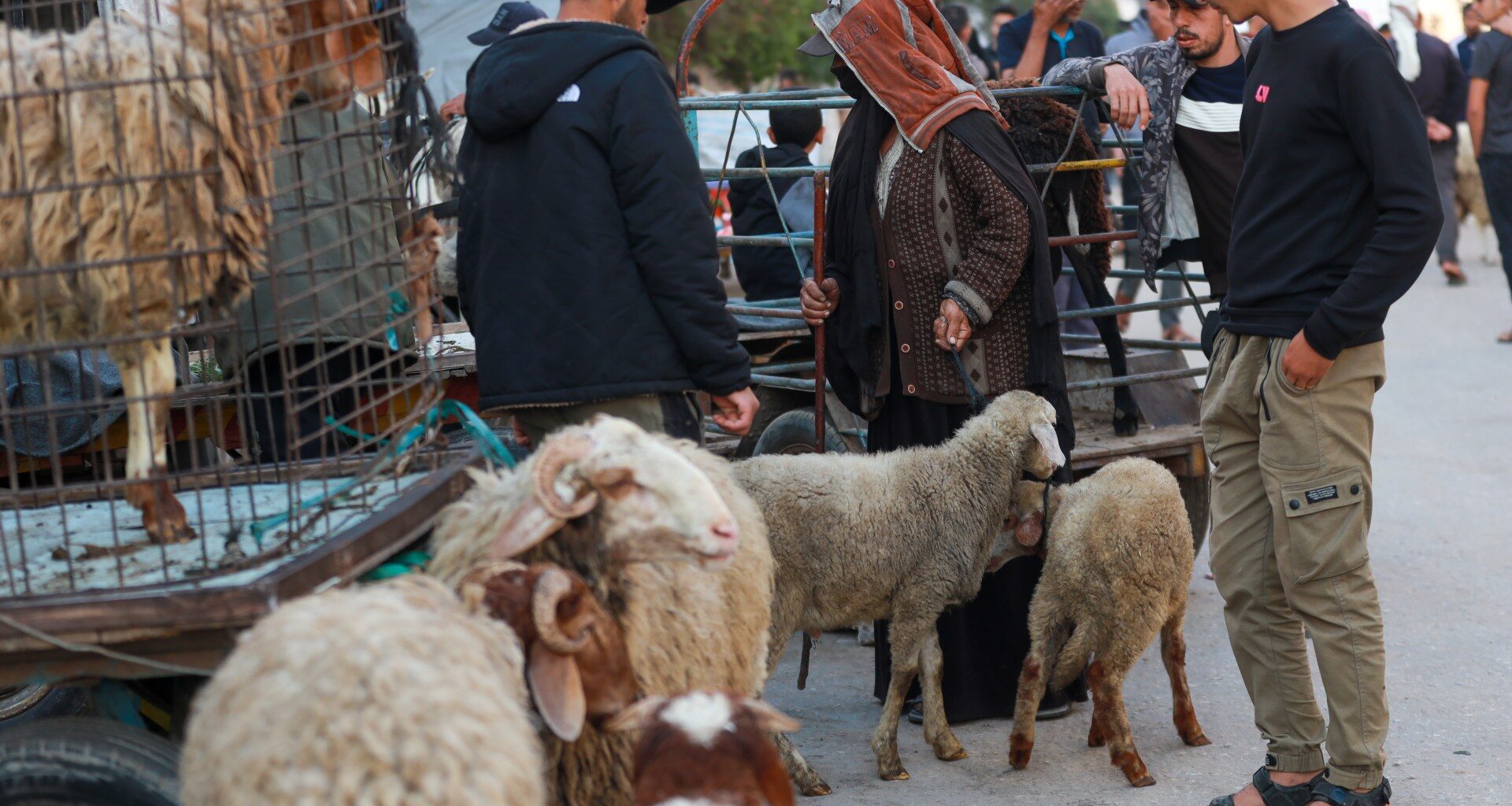 ‘No livestock but still hope’: Palestinians prepare for Eid al-Adha in Gaza | Israel-Palestine conflict News