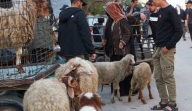 ‘No livestock but still hope’: Palestinians prepare for Eid al-Adha in Gaza | Israel-Palestine conflict News