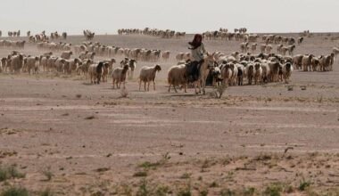 Report Reveals Israel Ran a Second Outpost in Iraqi Desert During Iran War